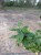 pxl_20260515_165026760.jpg