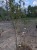 pxl_20260515_165139307.jpg