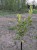 pxl_20260515_165312398.jpg