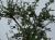 IMG_0955.jpeg