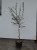 IMG_0941.jpeg