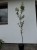 IMG_0949.jpeg