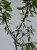 IMG_0951.jpeg