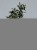 IMG_0937.jpeg