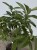 IMG_0939.jpeg